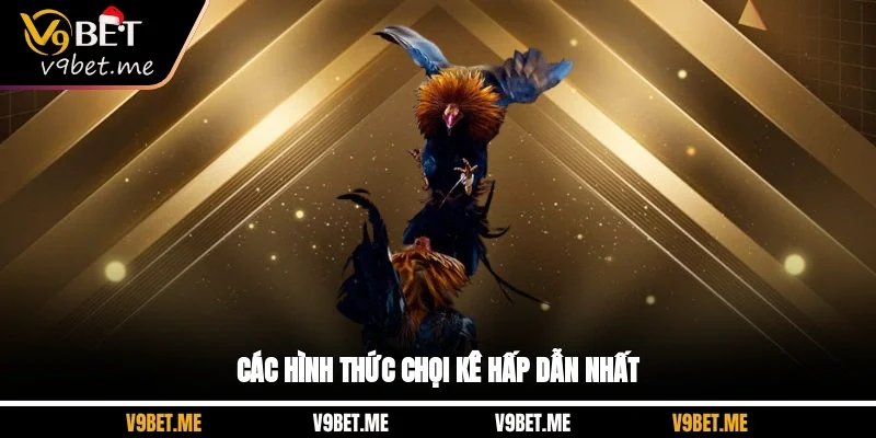 Các hình thức chọi kê hấp dẫn nhất